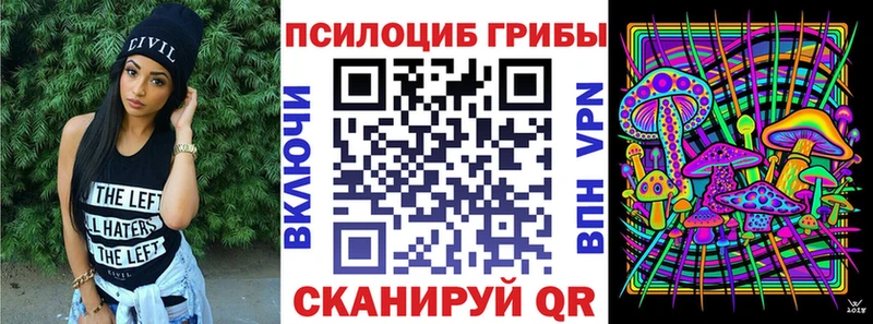 mega tor  Кувандык  Галлюциногенные грибы прущие грибы 