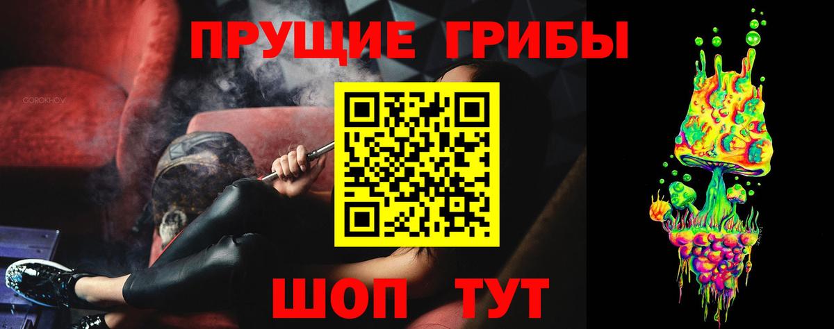 Галлюциногенные грибы Psilocybe Кувандык